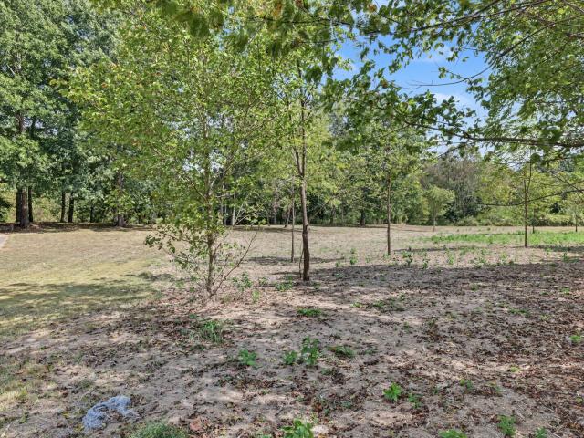 Land for sale in Henryville, Ethridge