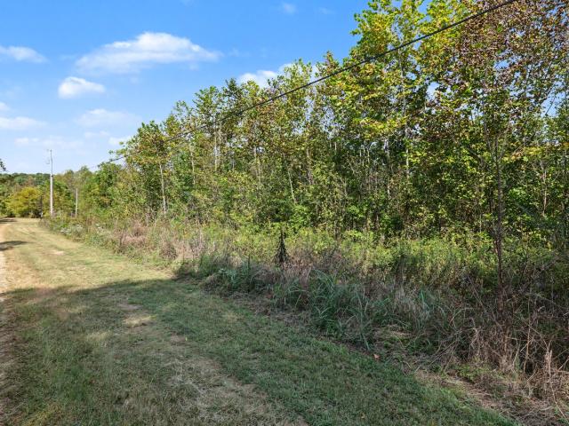 Land for sale in Henryville, Ethridge