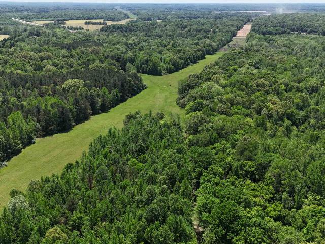 Land for sale in Tennessee