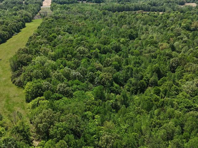 Land for sale in Tennessee