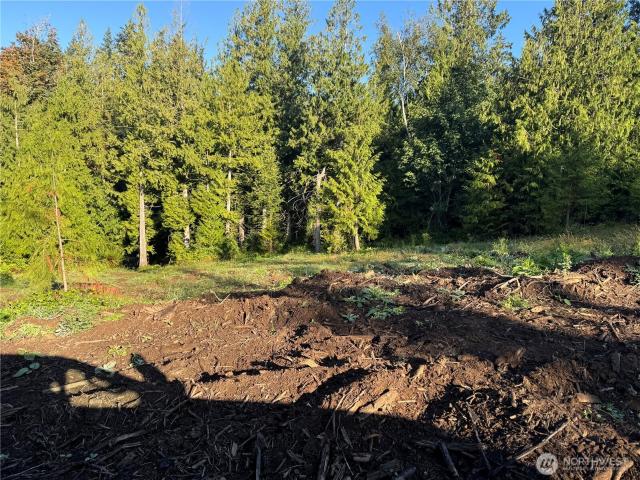 Land for sale in Everson, Washington