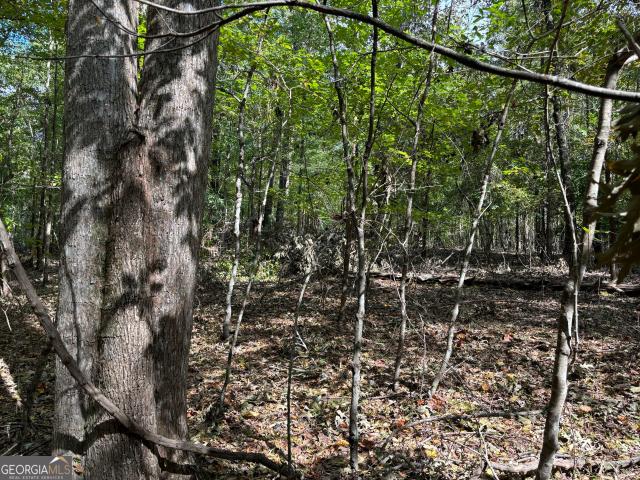 Land for sale in Tignall, Georgia