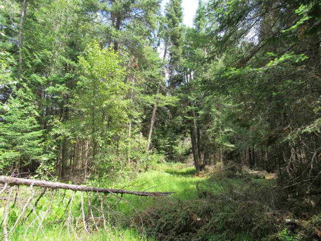 Land for sale in Michigan