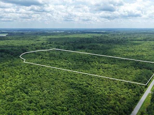 Land for sale in Camden, North Carolina