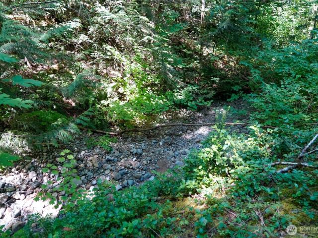 Land for sale in Hoodsport