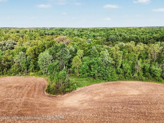 Land for sale in Eaton, Michigan