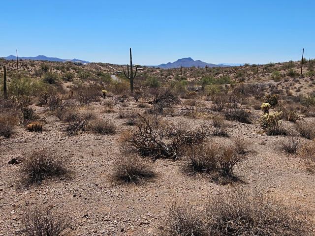 Land for sale in Arizona