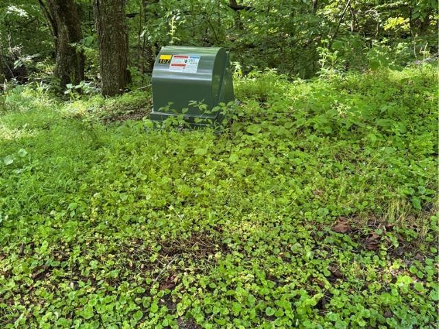 Land for sale in Pekin, Indiana