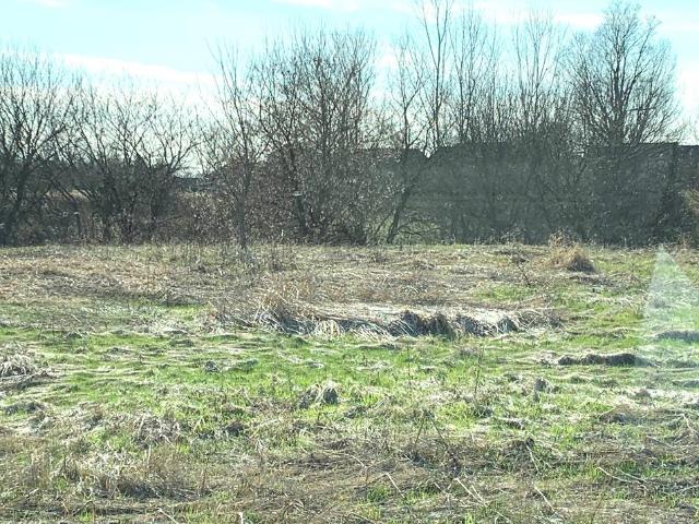 Land for sale in Davison, Michigan