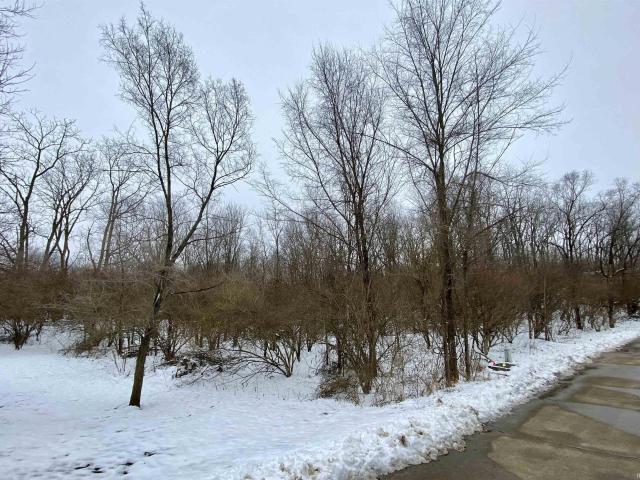 Land for sale in Albany, Indiana