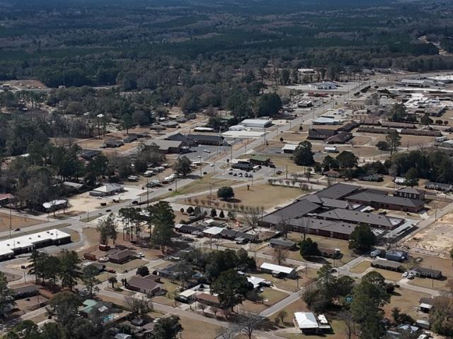 Land for sale in Geneva, Alabama