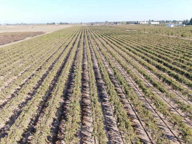 Land for sale in Acampo, California