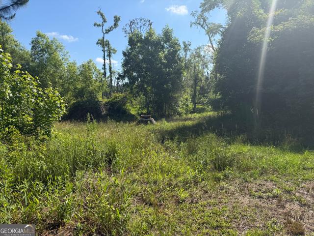 Land for sale in Soperton, Georgia