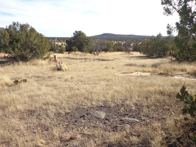 Land for sale in Ash Fork, Arizona