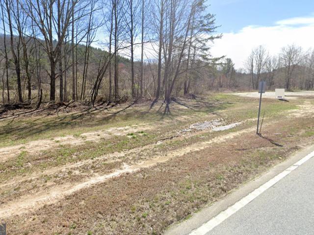 Land for sale in Dillard, Georgia