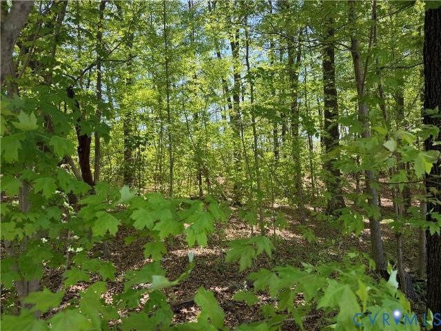 Land for sale in Virginia
