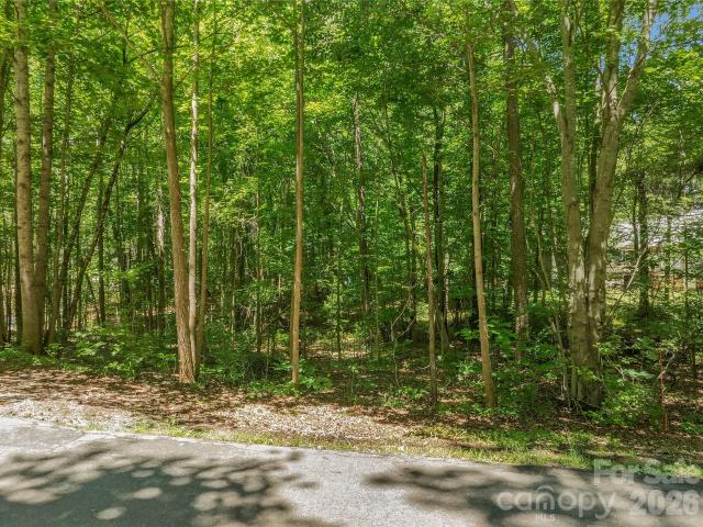 Land for sale in Jackson Woods, Mineral Springs