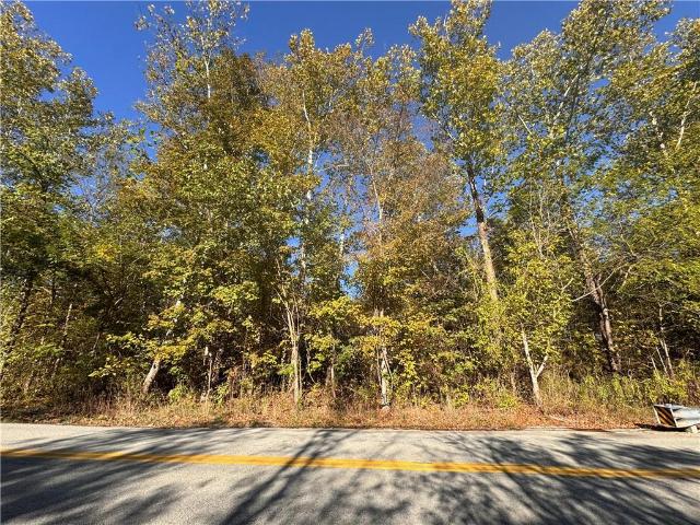 Land for sale in East Millsboro, Pennsylvania