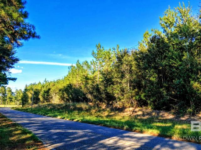 Land for sale in Millry, Washington County
