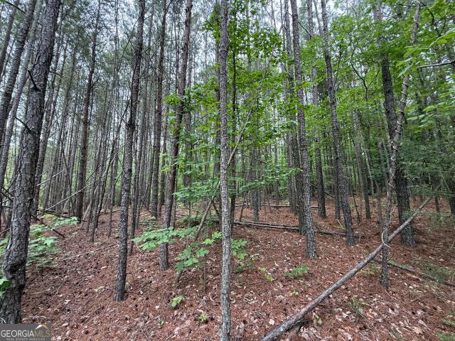 Land for sale in Lindale, Georgia