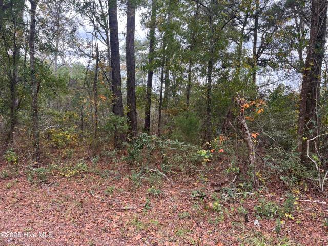 Land for sale in Bayboro, North Carolina