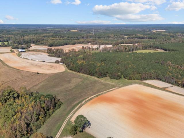 Land for sale in Whitakers, North Carolina