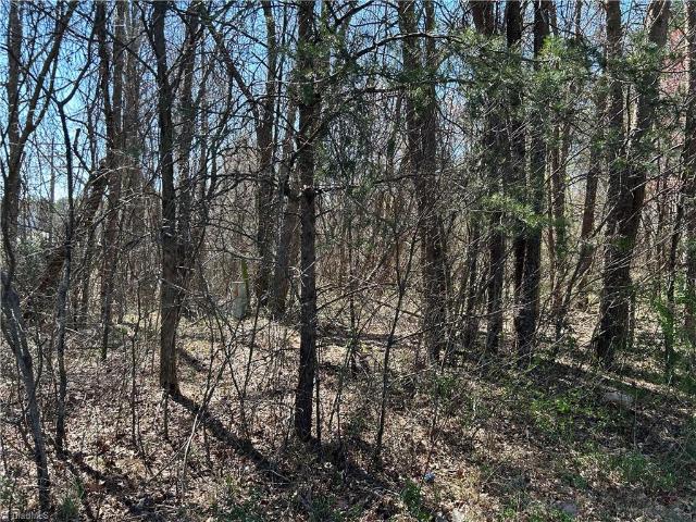 Land for sale in East Bend, North Carolina