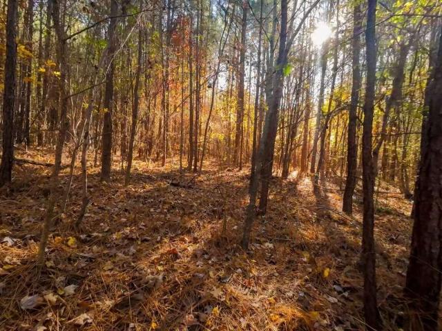 Land for sale in Littleton, North Carolina