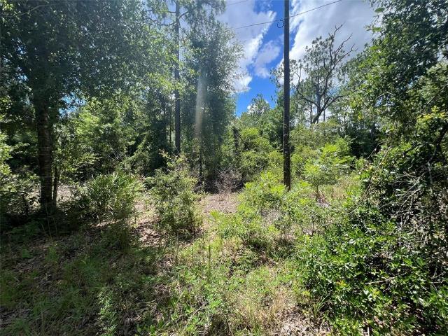 Property for sale in Dixie, Florida