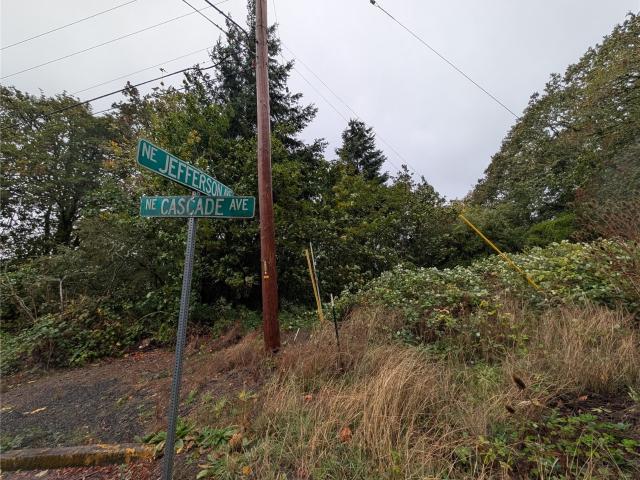 Land for sale in Chehalis, Lewis County