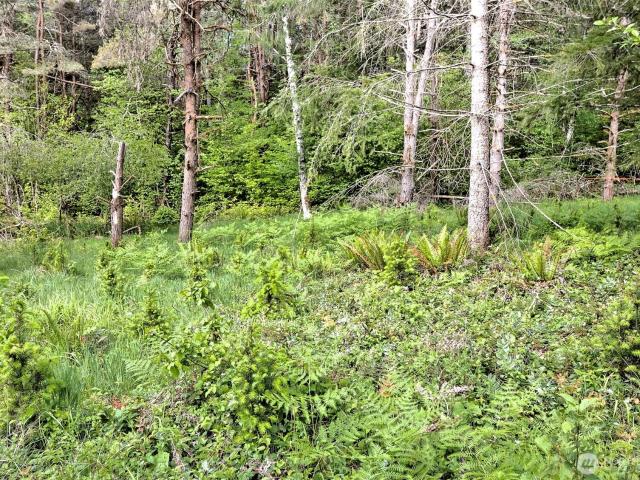 Land for sale in Tahuya, Washington
