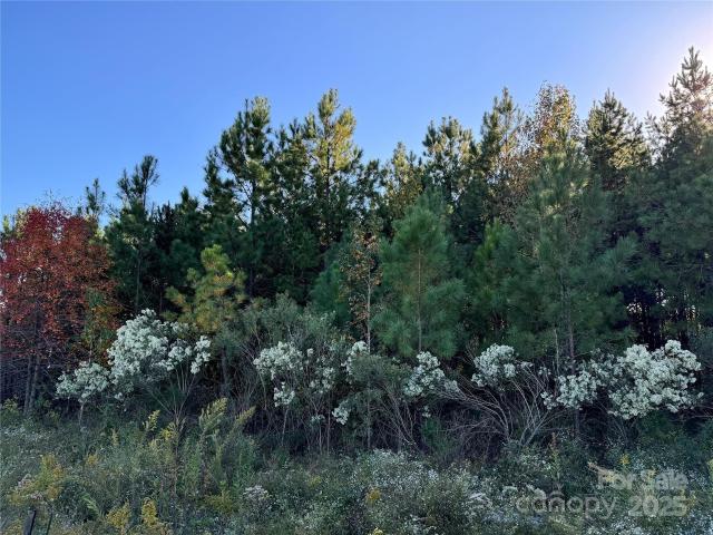 Land for sale in Albemarle, North Carolina