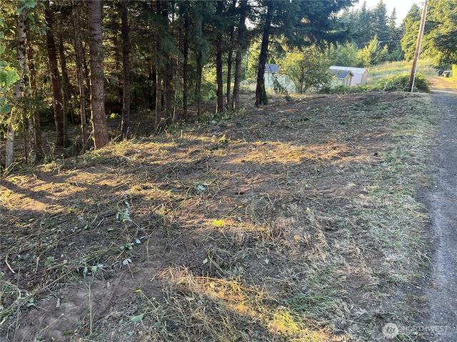 Land for sale in Winlock, Washington