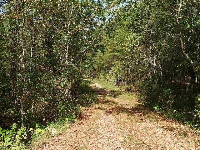 Land for sale in Gordon, Georgia