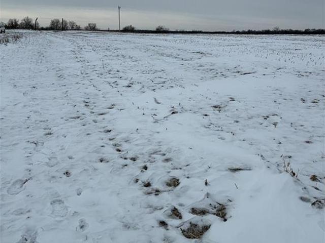 Farm for sale in Hamilton, Missouri