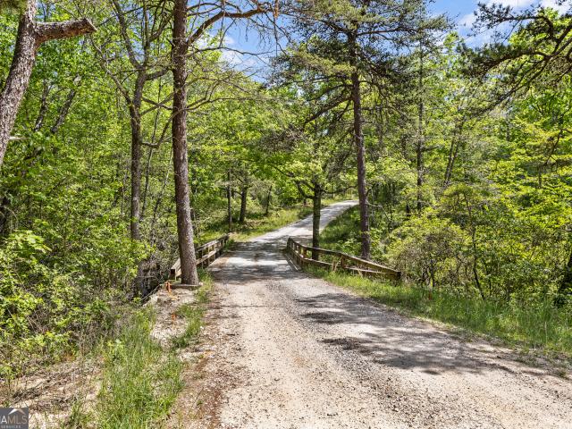 Land for sale in Menlo, Georgia