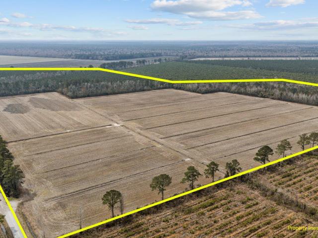 Land for sale in Bayboro, North Carolina