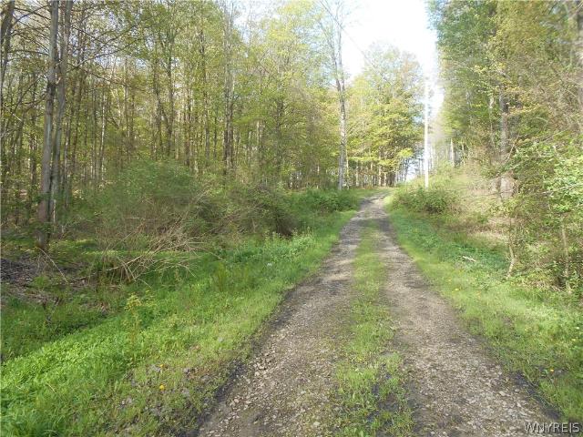 Land for sale in Yorkshire, New York