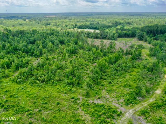 Land for sale in Evergreen, North Carolina