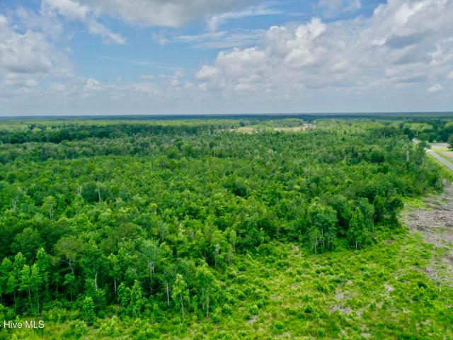 Land for sale in Evergreen, North Carolina