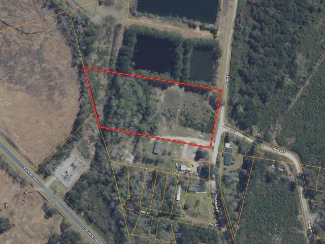 Land for sale in Fair Bluff, North Carolina