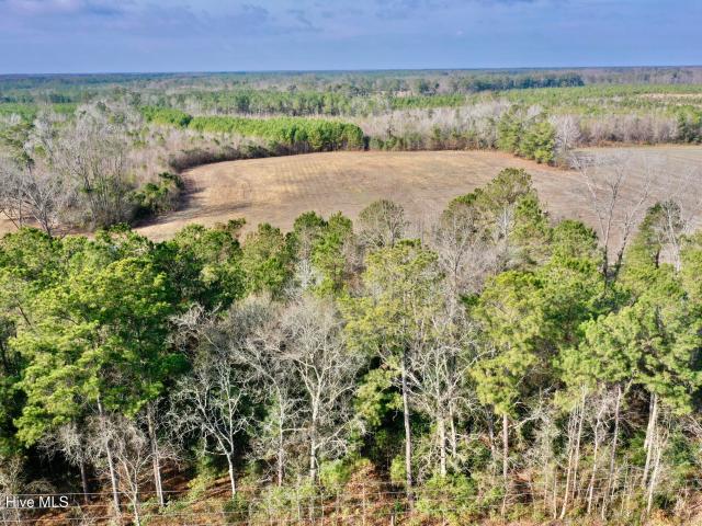 Land for sale in Clarkton, North Carolina