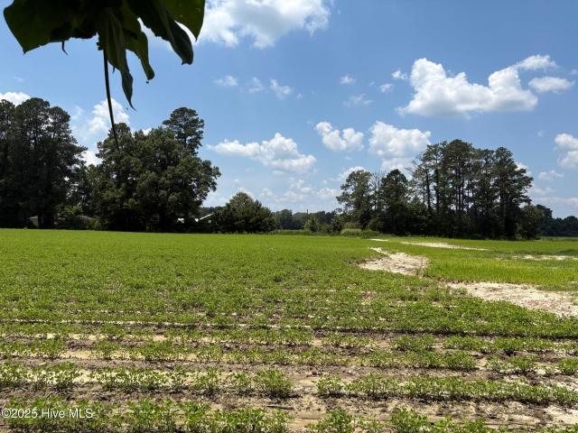 Land for sale in Clarkton, North Carolina