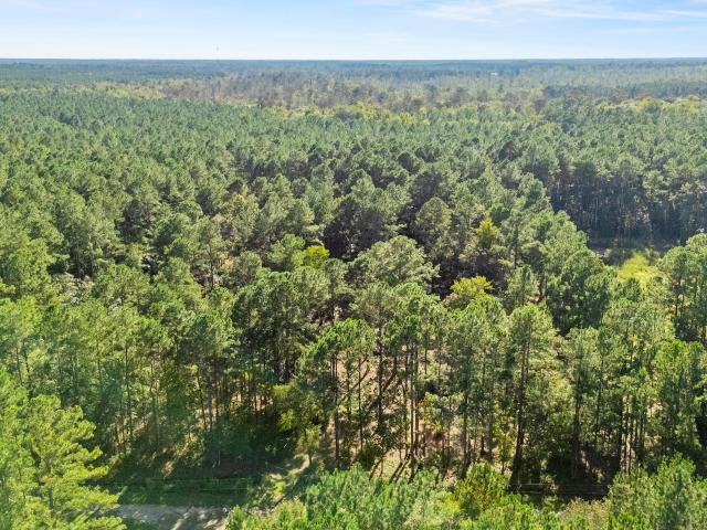 Land for sale in Burgaw, Pender County