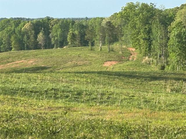 Land for sale in Carrollton, Georgia