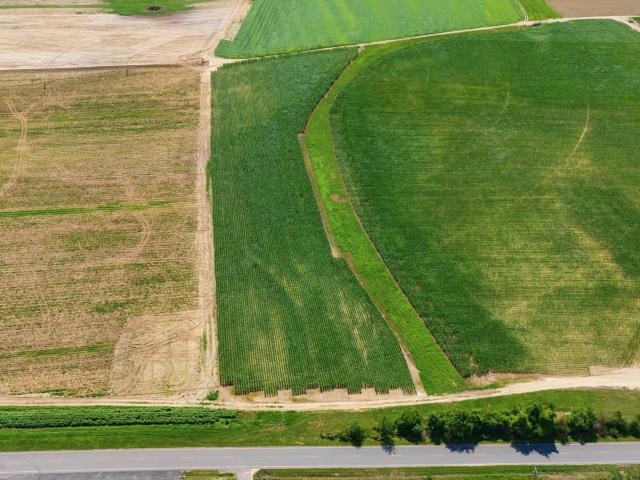 Land for sale in Gilbert, South Carolina