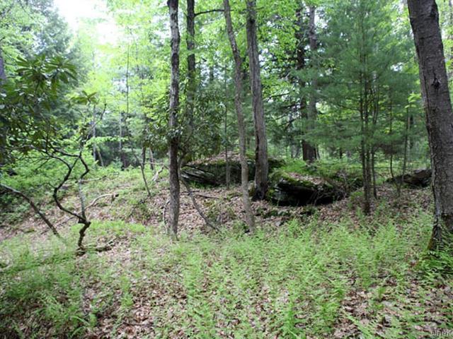 Land for sale in Centereach, New York