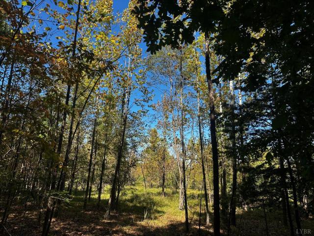 Land for sale in Sweet Briar Station, Amherst