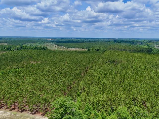 Land for sale in Georgia