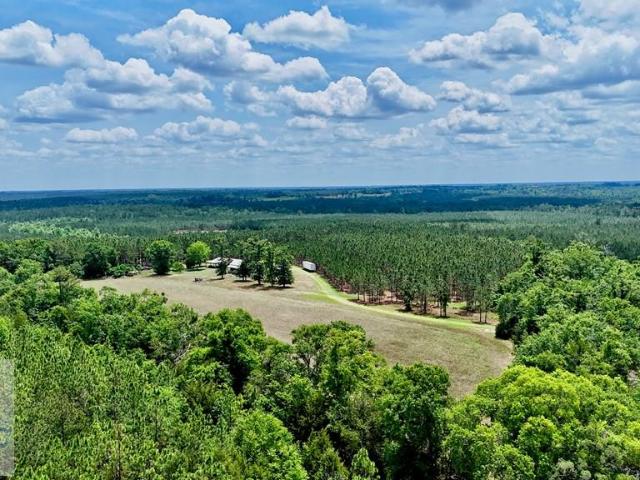 Land for sale in Georgia
